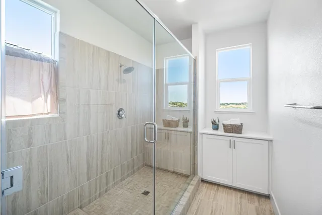 a view of a garden with a chair