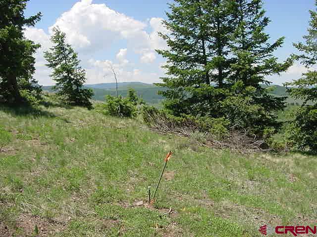 721 Crest Drive Cimarron, CO 81220 - Photo 1 of 7 a view of a green field with lots of bushes