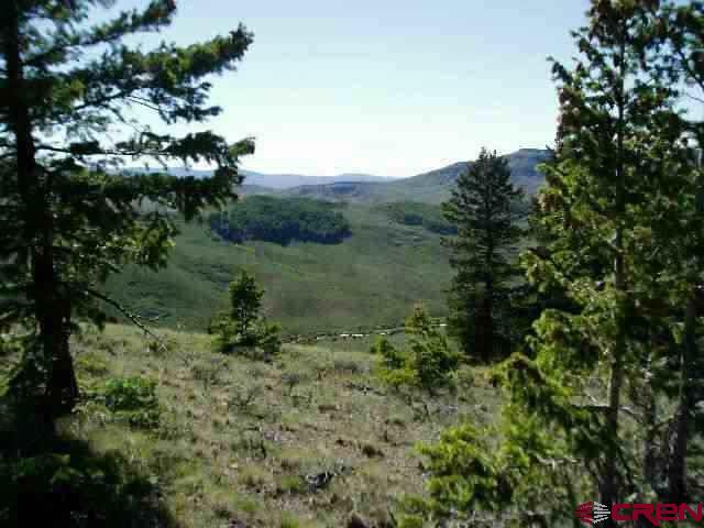 721 Crest Drive Cimarron, CO 81220 - Photo 3 of 7 a view of a lush green forest with lots of trees