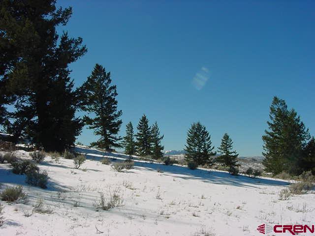 721 Crest Drive Cimarron, CO 81220 - Photo 6 of 7 a view of a yard covered with snow in front of house
