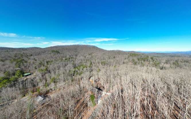 24 Turkey Scratch Road Blairsville, GA 30512 - Photo 13 of 13 Additional View