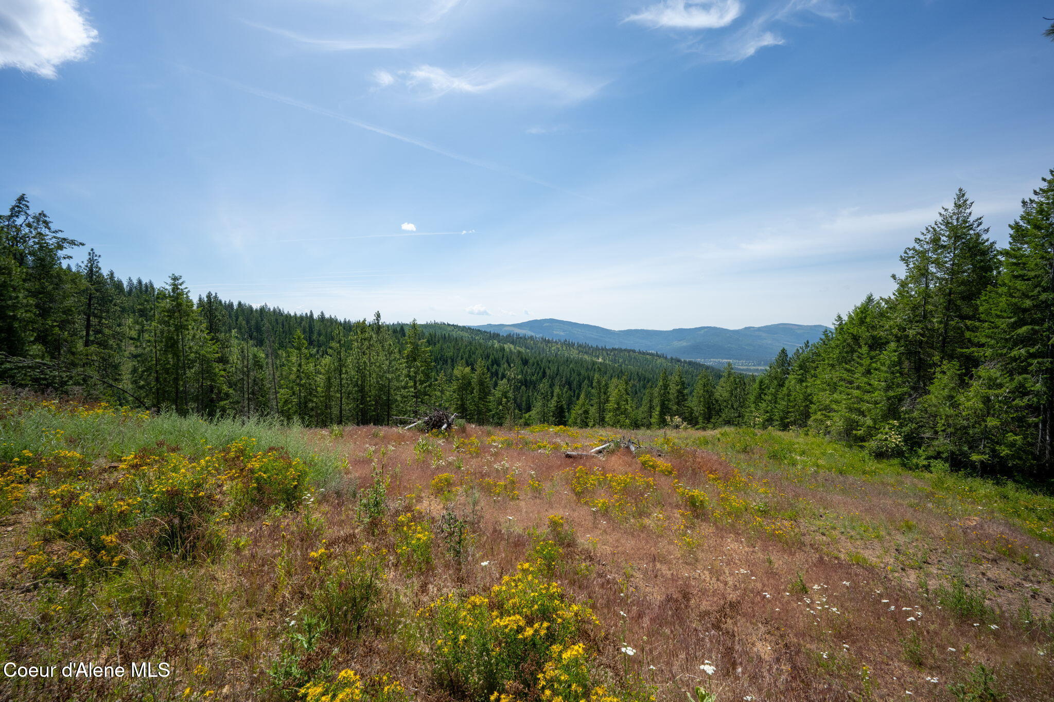 2089 Tower Mountain Road Blanchard, ID 83804 - Photo 24 of 35 31-web-or-mls-DSC_5600