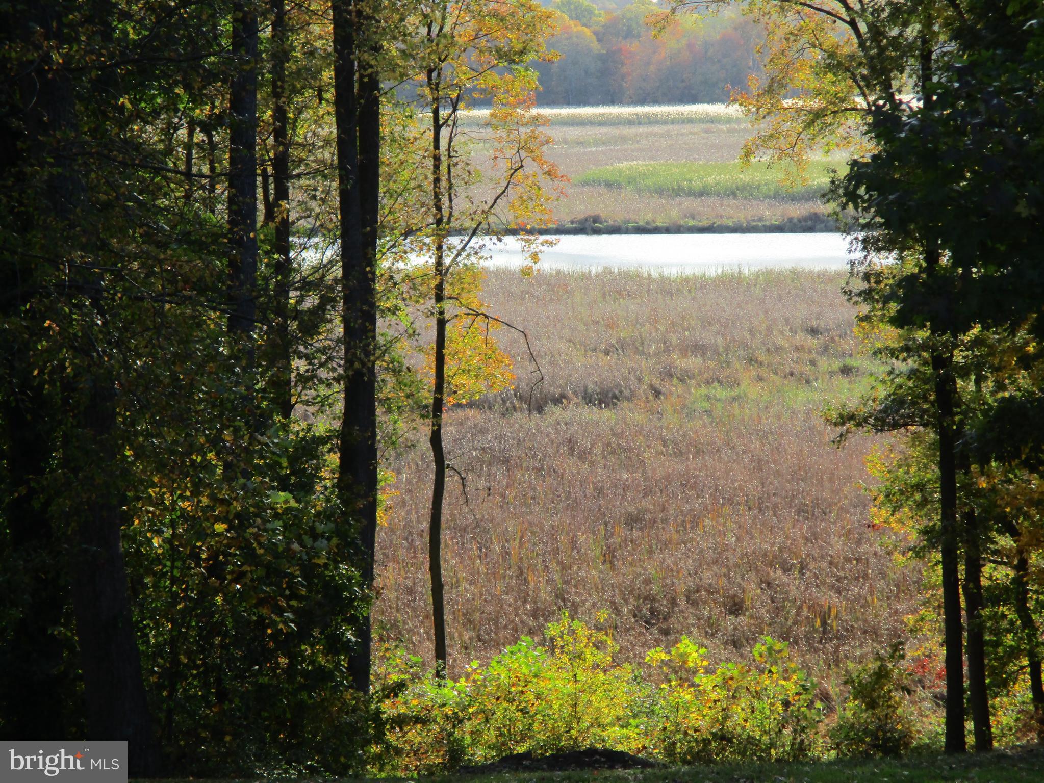 Beautiful View Lot Oldfield Point Road Elkton, MD 21921 - Photo 2 of 44 View