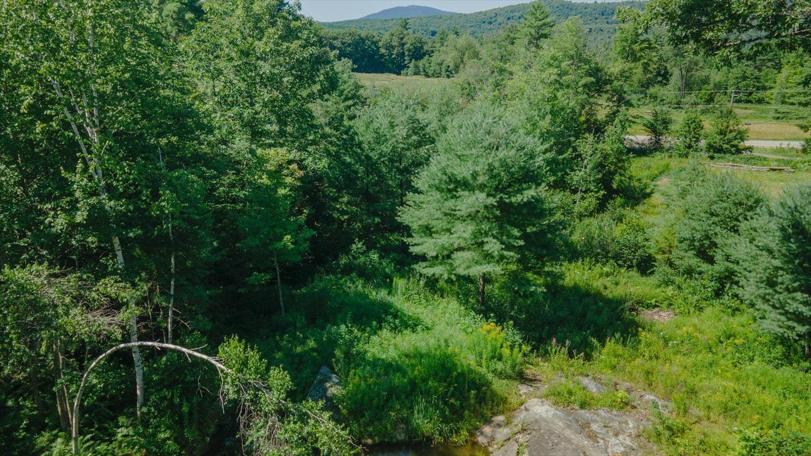 73 Forest Road Hancock, NH 03449 - Photo 53 of 57 Gallery Image 53