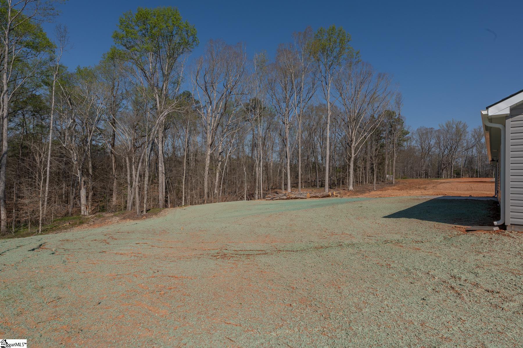 9892 Highway 252 Ware Shoals, SC 29692 - Photo 29 of 33