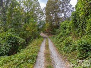 179 Fresh Water Rdg Road Whittier, NC 28789 - Photo 31 of 48 a view of a pathway both side of yard