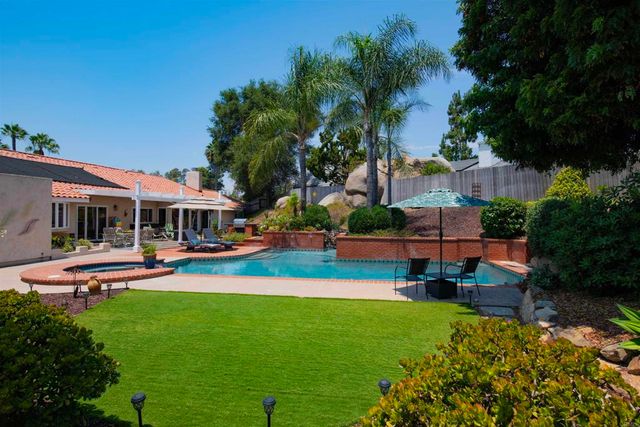 a view of a garden with plants