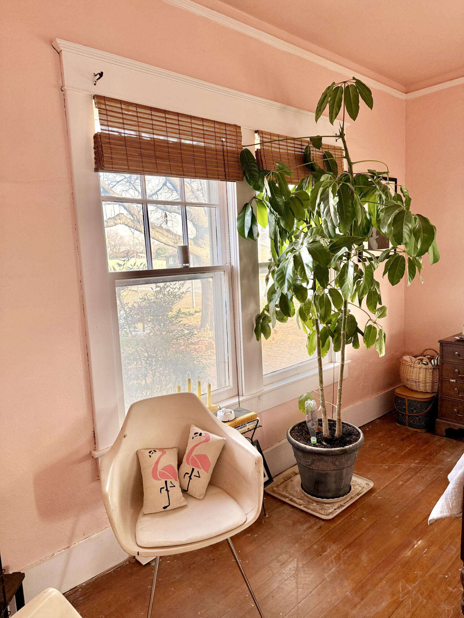302 West 10th Street Post, TX 79356 - Photo 19 of 30 a vase of flowers sitting on a table