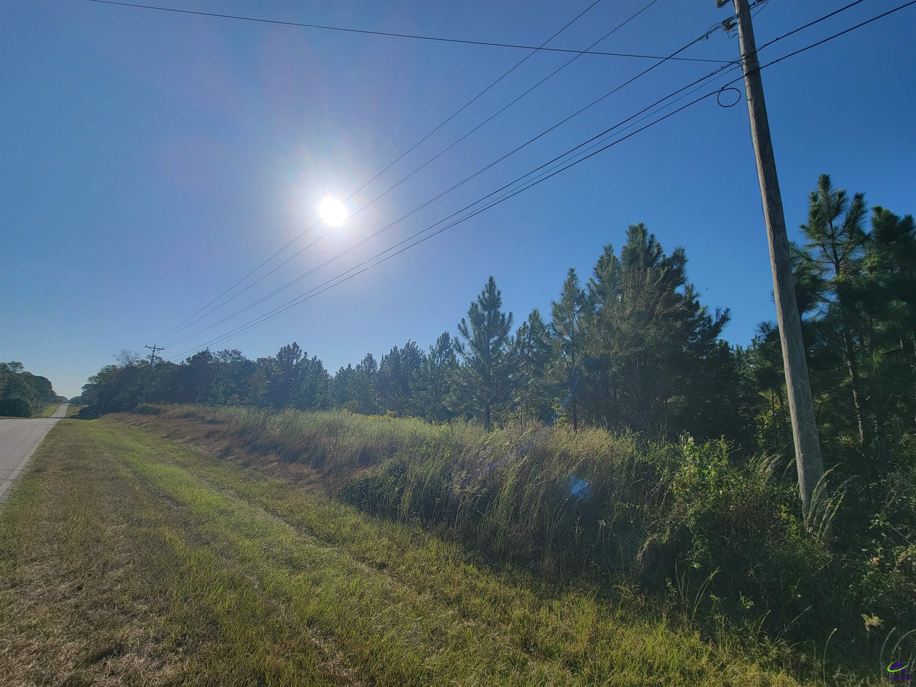 0 Benny Sharp Road Hawkinsville, GA 31036 - Photo 5 of 6