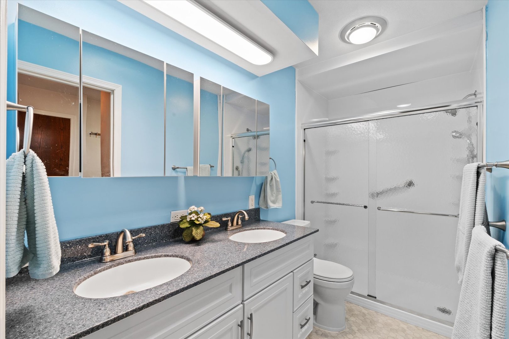 10 Oak Grove Road Geneseo, IL 61254 - Photo 18 of 43 a bathroom with a granite countertop sink toilet and shower