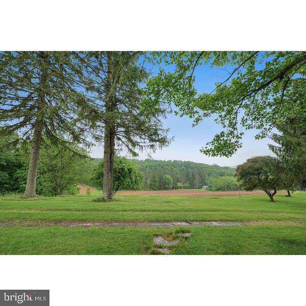 1213 Cash Valley Road Eglon, WV 26716 - Photo 11 of 24