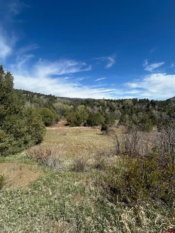 a view of a big yard