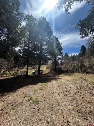 a view of outdoor space yard and trees