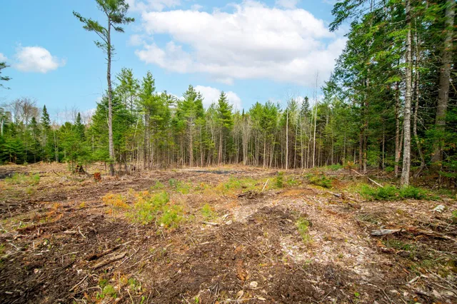 $899,000 | 4 Forest Drive, Bethel, ME 04217