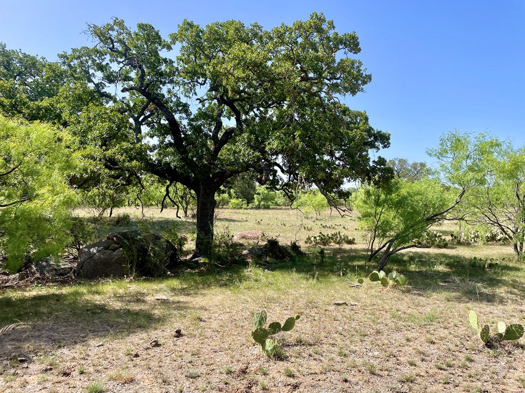 2204 Lange Polk Road Brady, TX 76825 - Photo 12 of 30 a view of a yard with trees