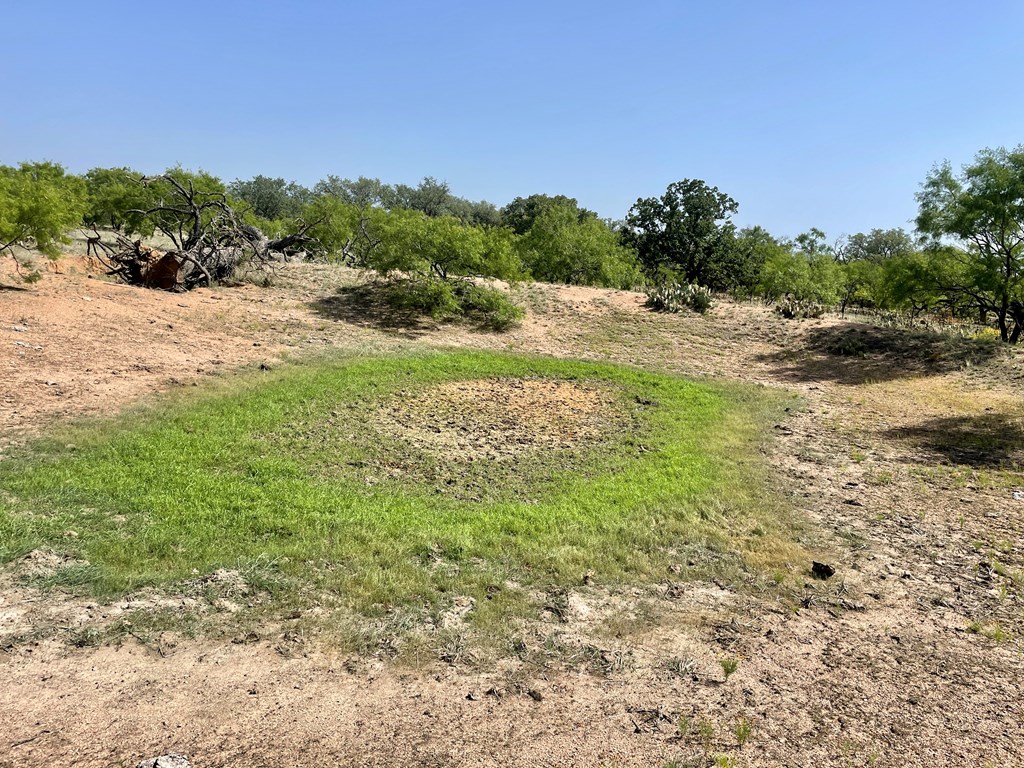 2204 Lange Polk Road Brady, TX 76825 - Photo 13 of 30 a view of a field with an ocean