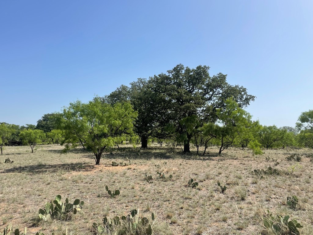 2204 Lange Polk Road Brady, TX 76825 - Photo 14 of 30 a view of open space with a trees