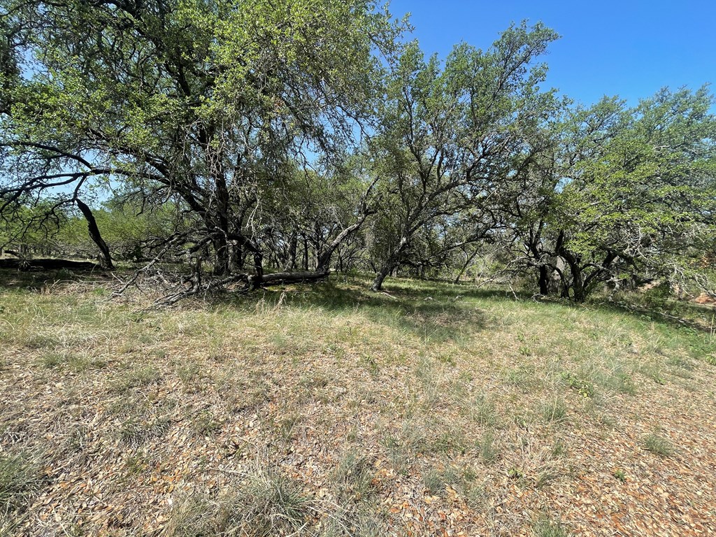 2204 Lange Polk Road Brady, TX 76825 - Photo 15 of 30 a view of outdoor space