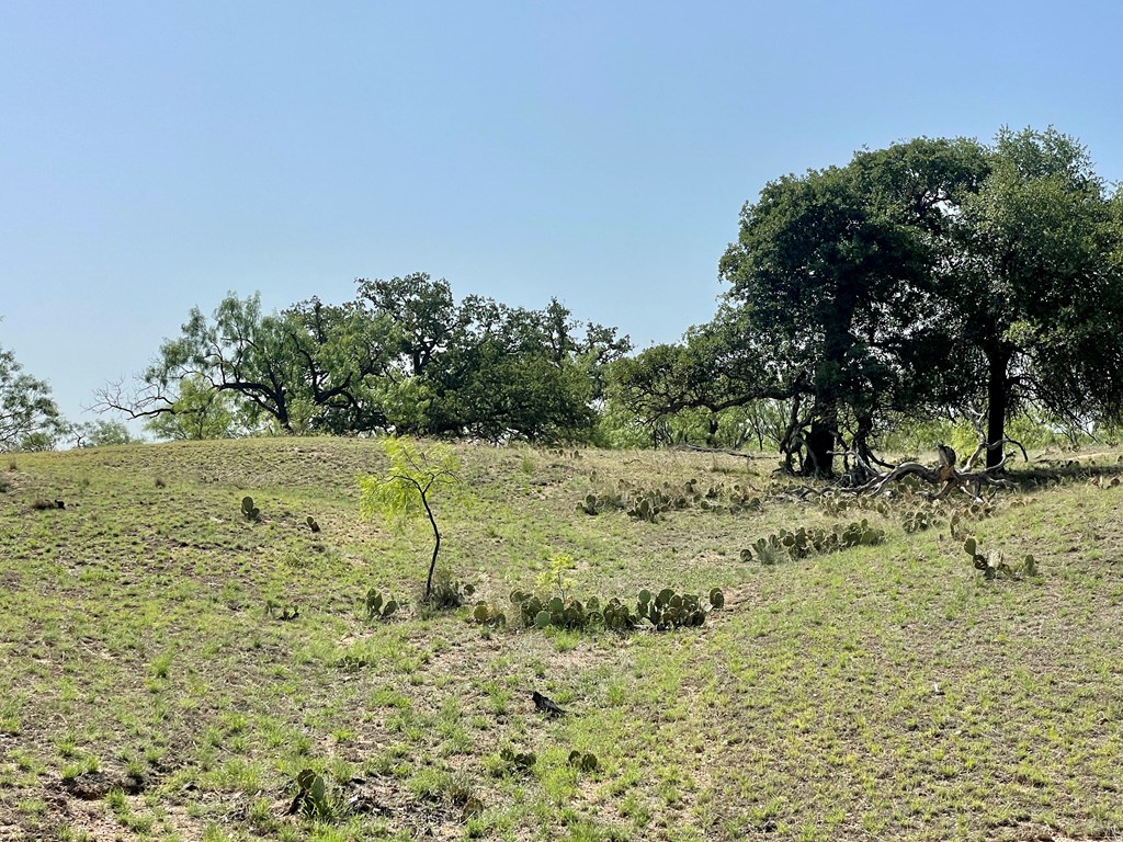 2204 Lange Polk Road Brady, TX 76825 - Photo 16 of 30 a view of a green field with lots of bushes