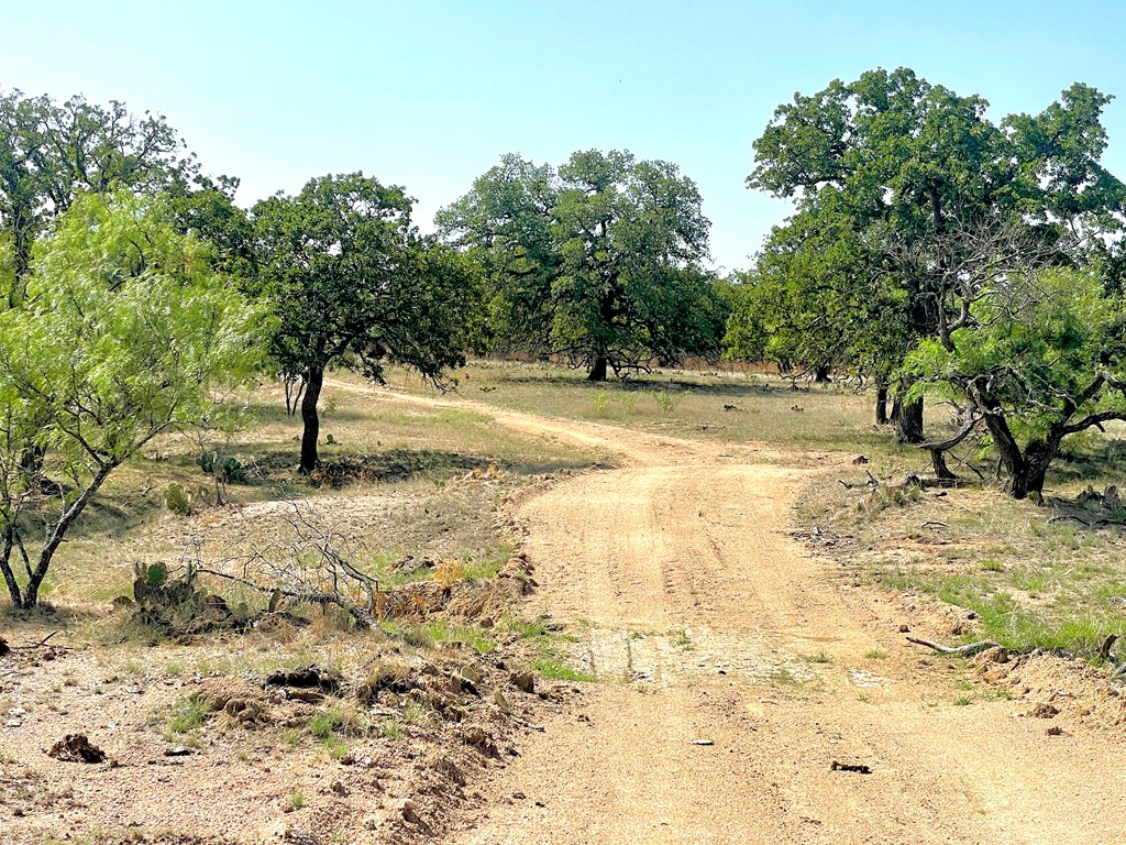 2204 Lange Polk Road Brady, TX 76825 - Photo 17 of 30 a view of yard with trees