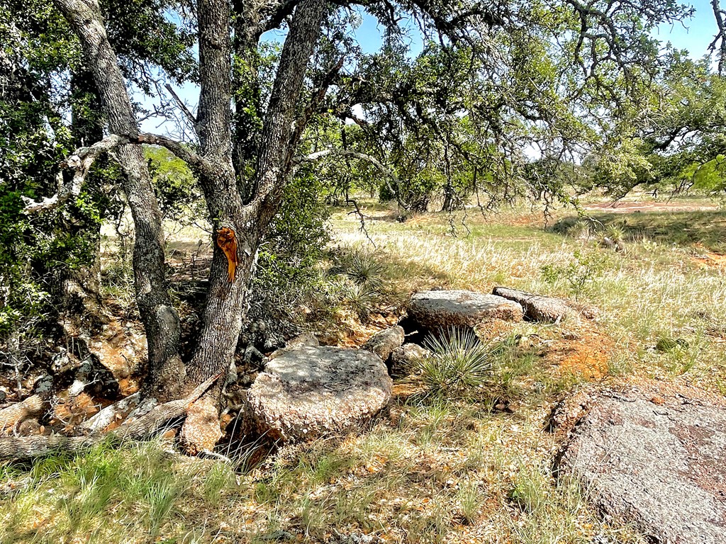 2204 Lange Polk Road Brady, TX 76825 - Photo 18 of 30 a backyard of a house with lots of green space