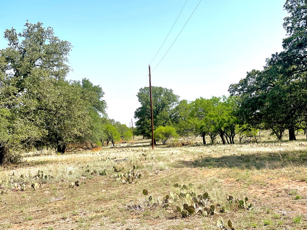 2204 Lange Polk Road Brady, TX 76825 - Photo 19 of 30 a view of a snow on the road