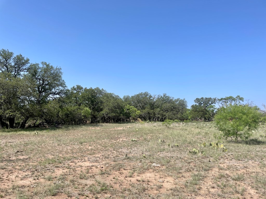 2204 Lange Polk Road Brady, TX 76825 - Photo 5 of 30 a view of a field with a tree in the background