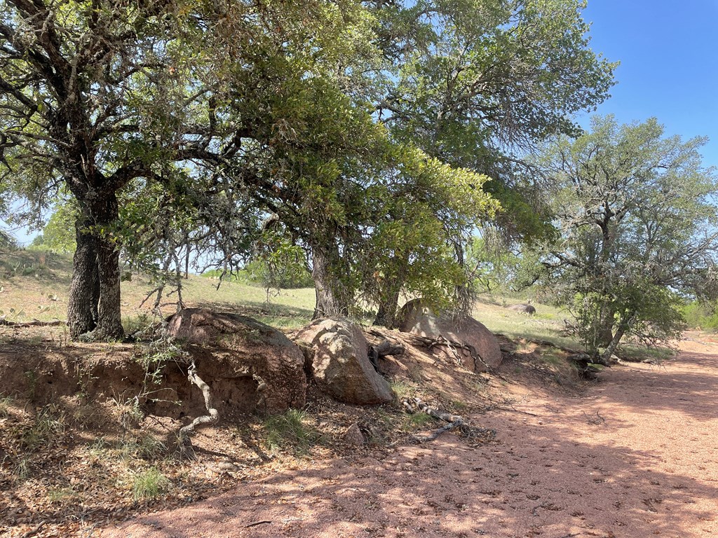 2204 Lange Polk Road Brady, TX 76825 - Photo 6 of 30 a view of dirt yard with a tree