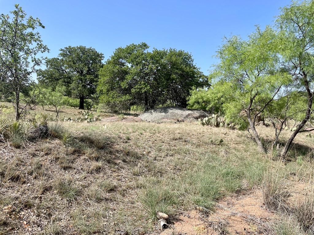 2204 Lange Polk Road Brady, TX 76825 - Photo 9 of 30 a view of a dry yard with trees