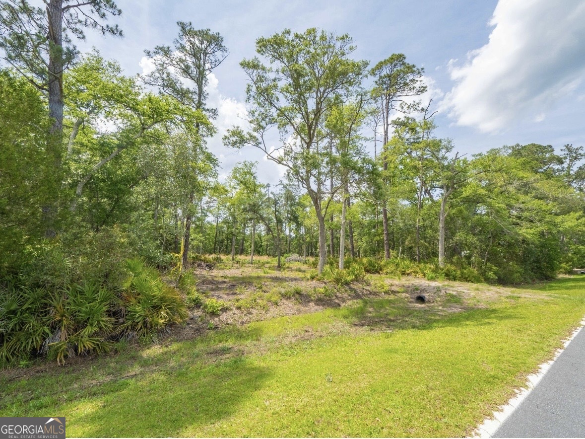 0 Piney Bluff Road Waverly, GA 31565 - Photo 22 of 26
