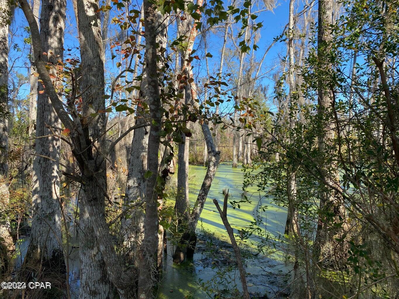 4714 Bay Head Road Youngstown, FL 32466 - Photo 11 of 28