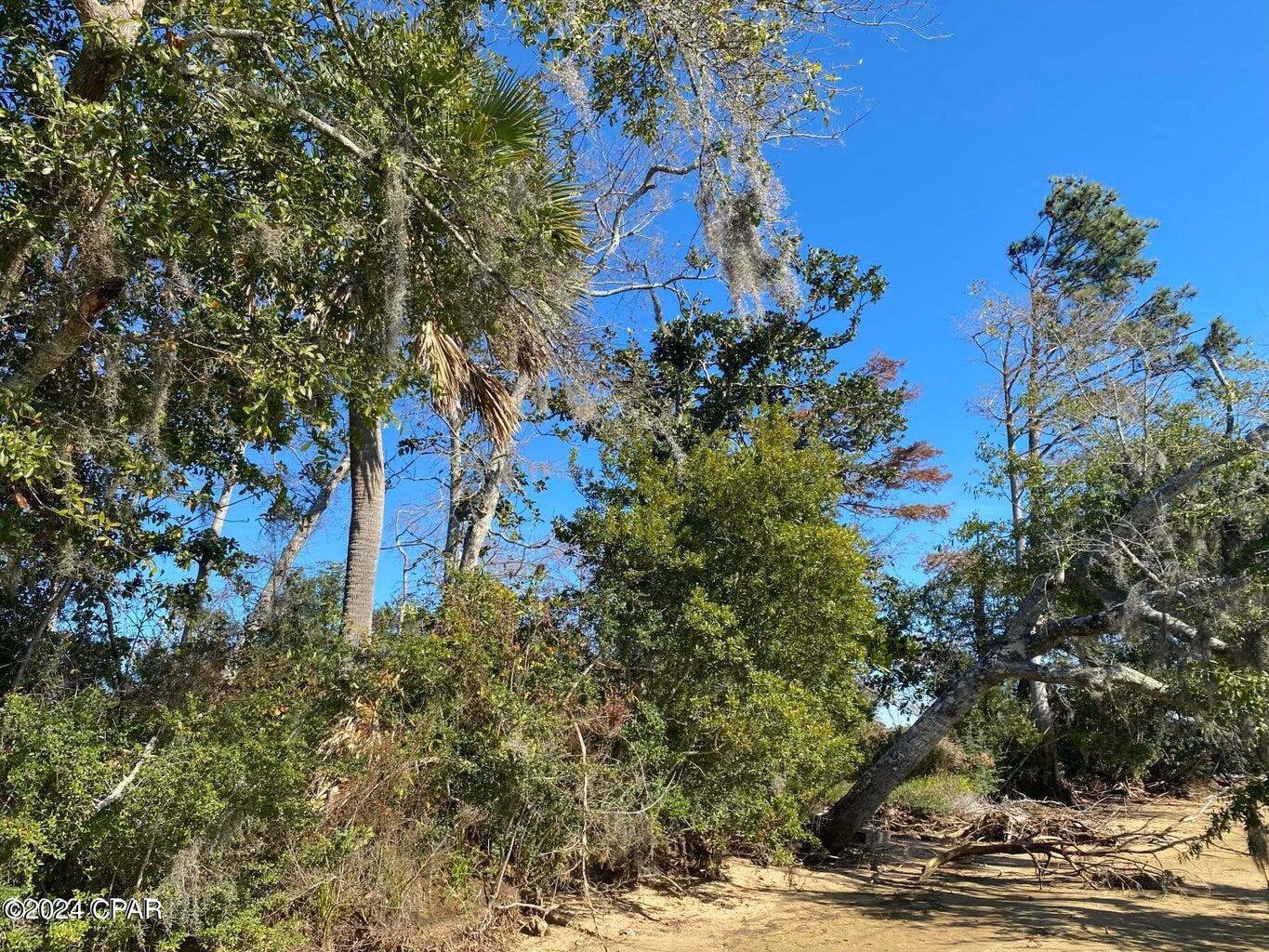 4714 Bay Head Road Youngstown, FL 32466 - Photo 22 of 28