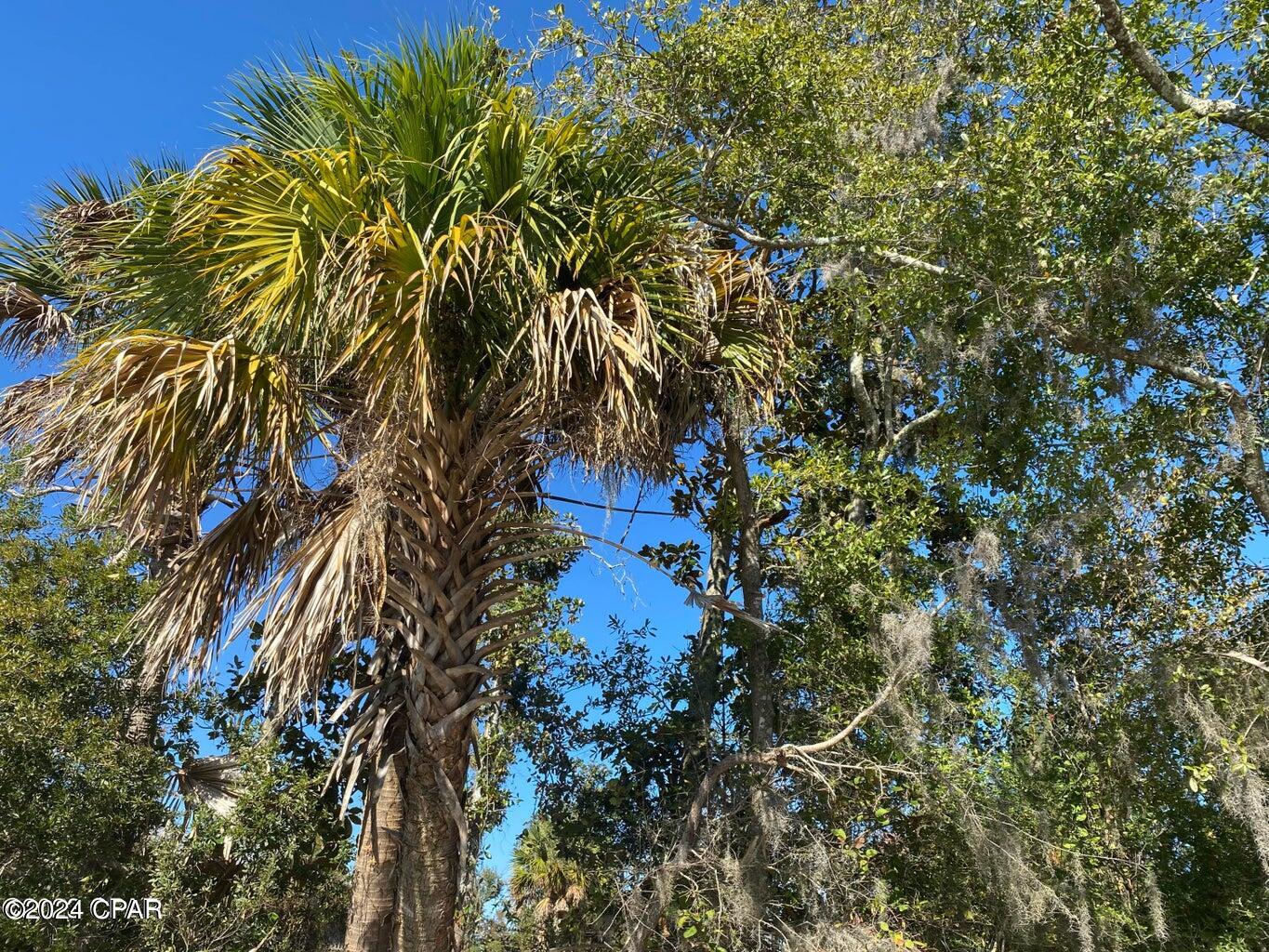 4714 Bay Head Road Youngstown, FL 32466 - Photo 27 of 28