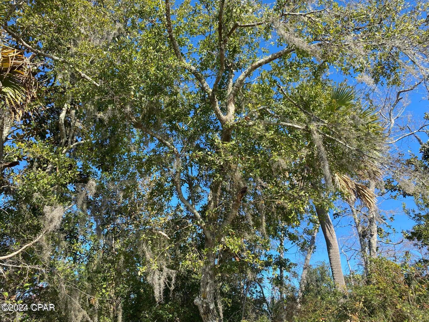 4714 Bay Head Road Youngstown, FL 32466 - Photo 28 of 28