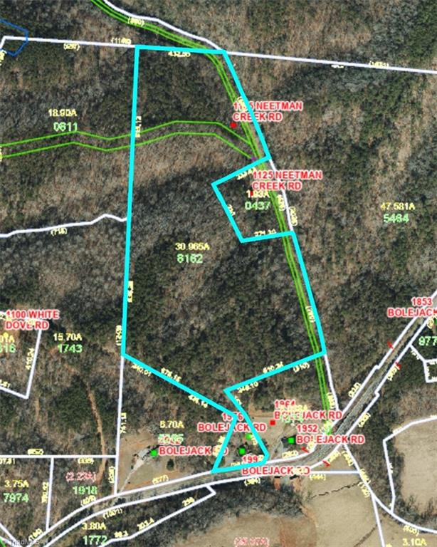 1992 Bolejack Road Germanton, NC 27019 - Photo 3 of 44