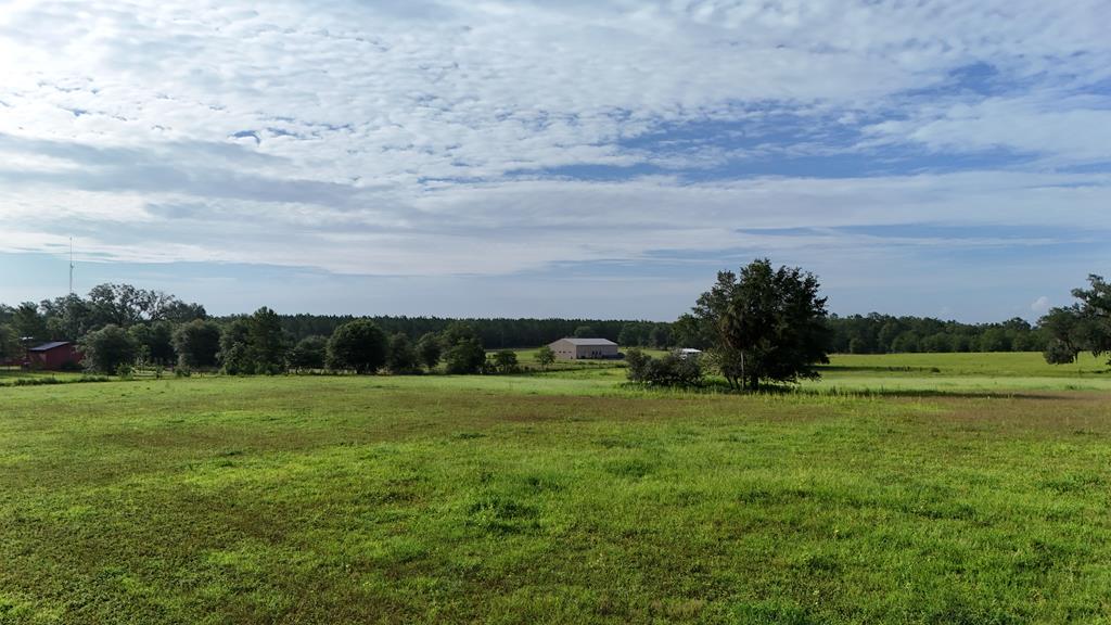 Vacant 145th Road Live Oak, FL 32060 - Photo 22 of 42