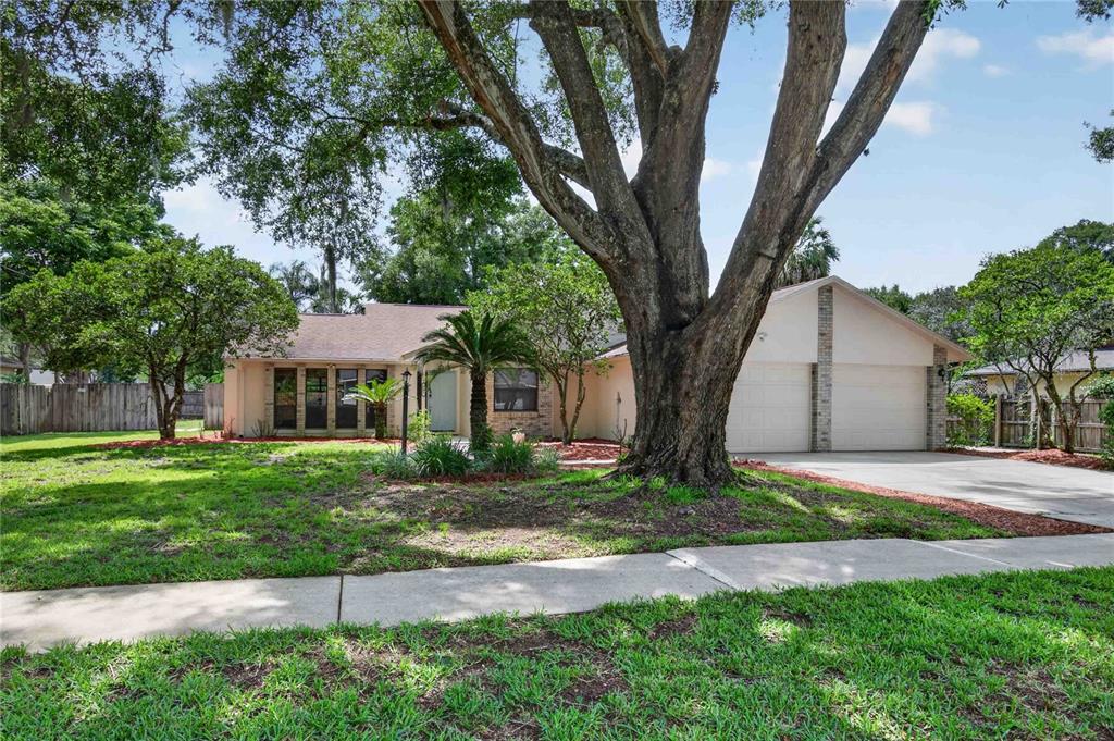 207 Pinecrest Road Mount Dora, FL 32757 - Photo 2 of 40