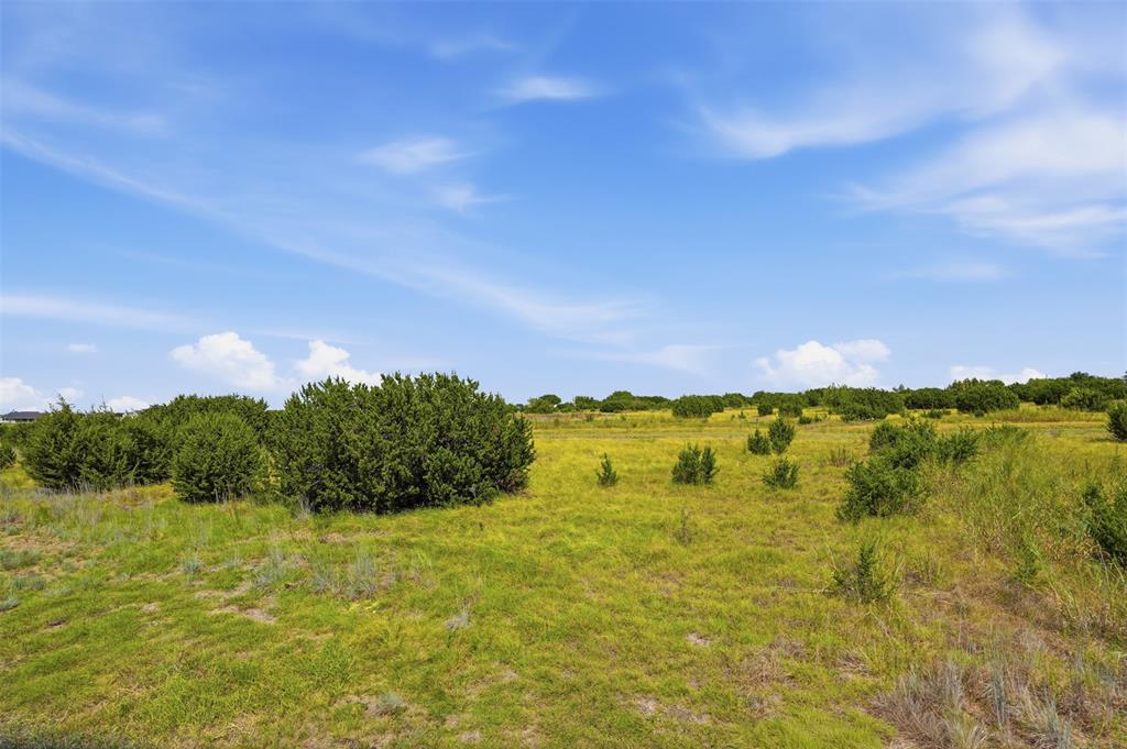 6940 Lonesome Road Godley, TX 76044 - Photo 14 of 14 Expansive open land with natural green growth and scattered shrubbery