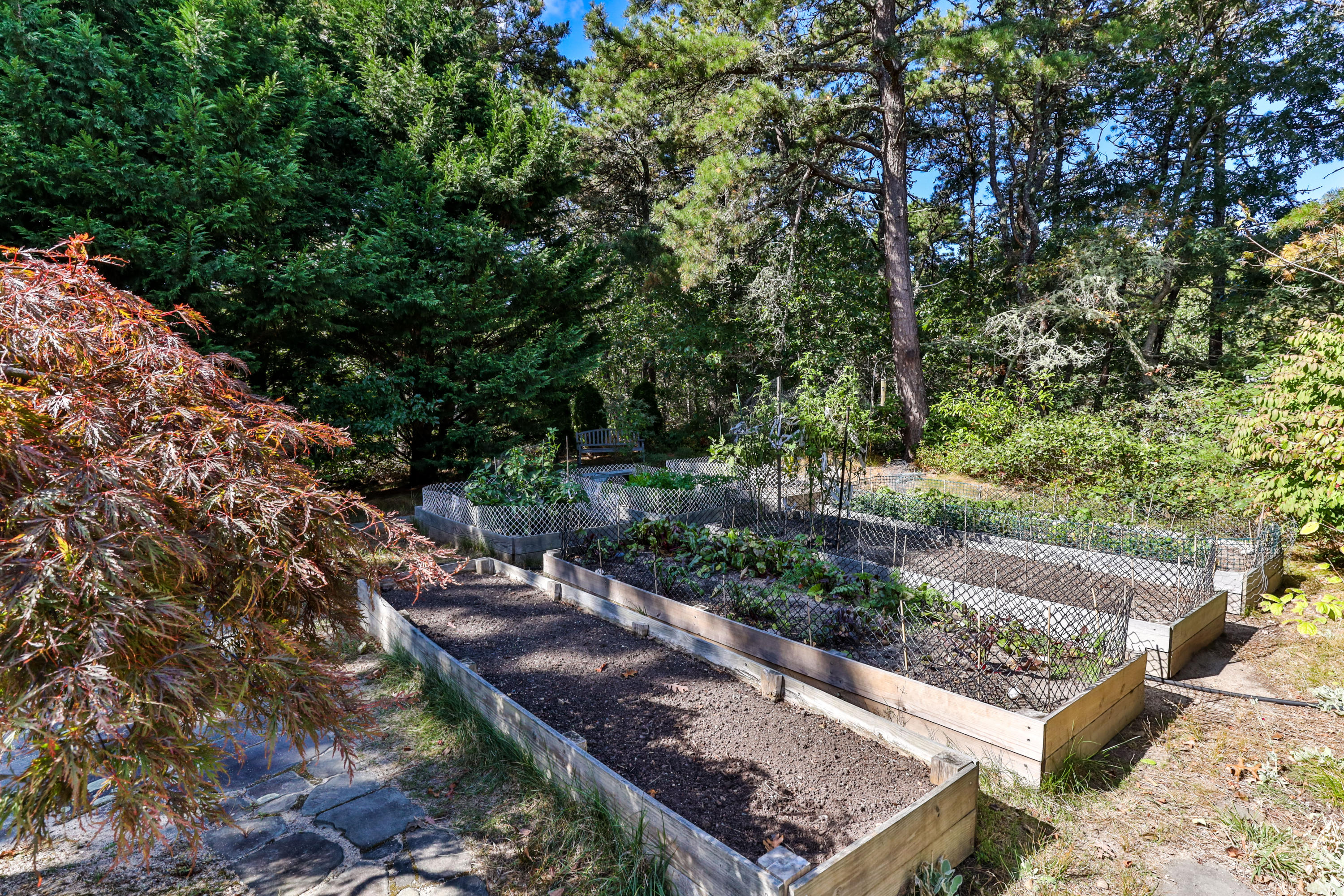 2 Spences Trace Road Harwich, MA 02645 - Photo 42 of 48 2SpeLR-51