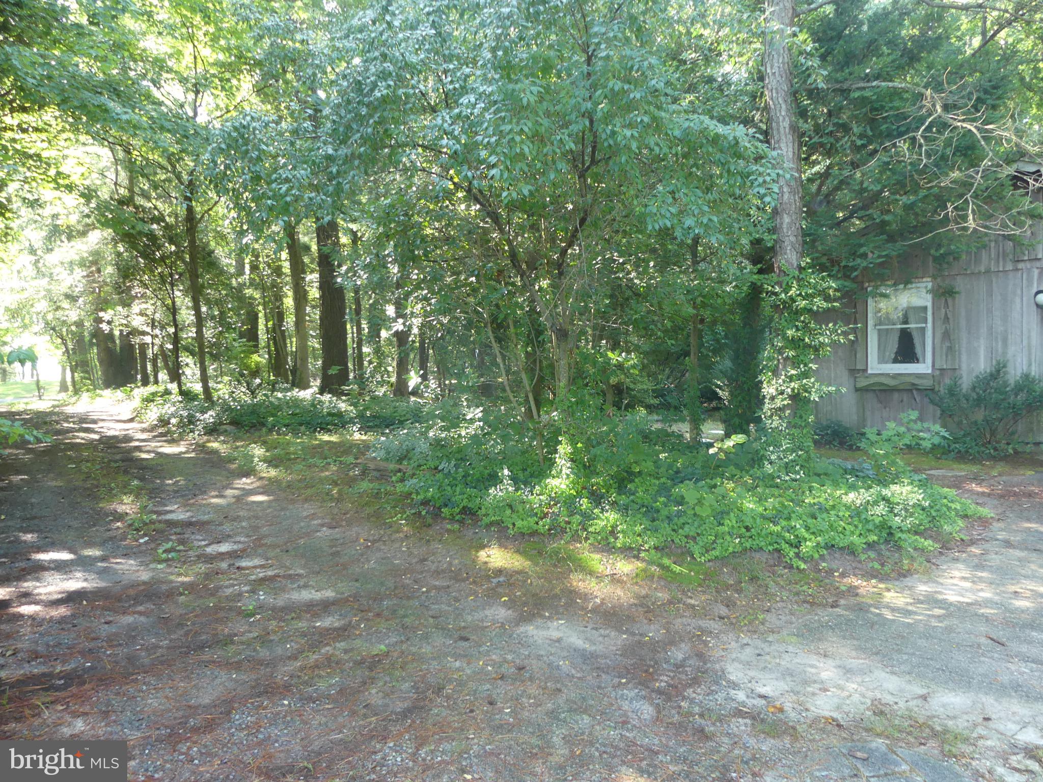 15290 Hudson Road Milton, DE 19968 - Photo 3 of 50 Gallery Image 3