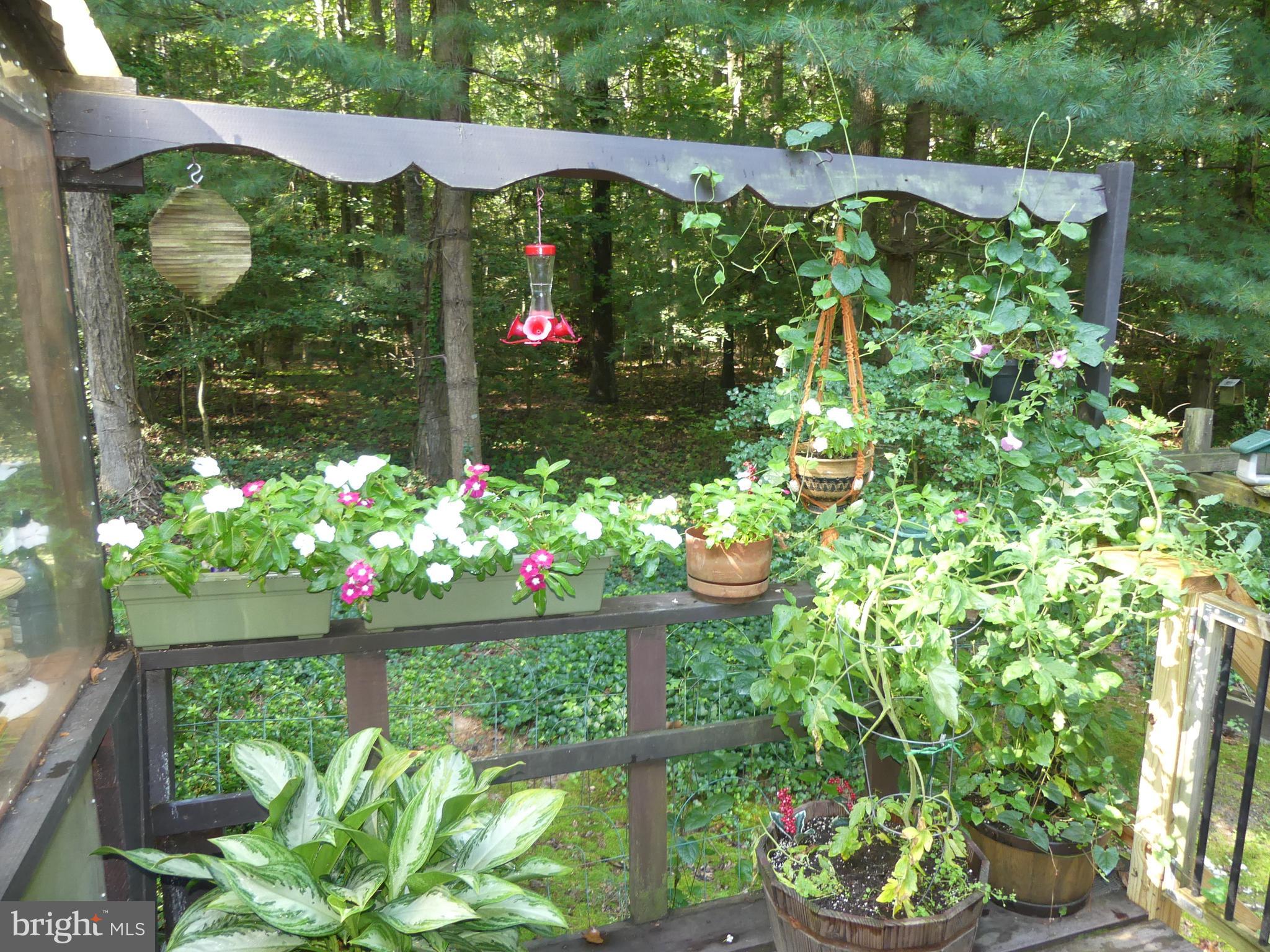 15290 Hudson Road Milton, DE 19968 - Photo 43 of 50 Gallery Image 43