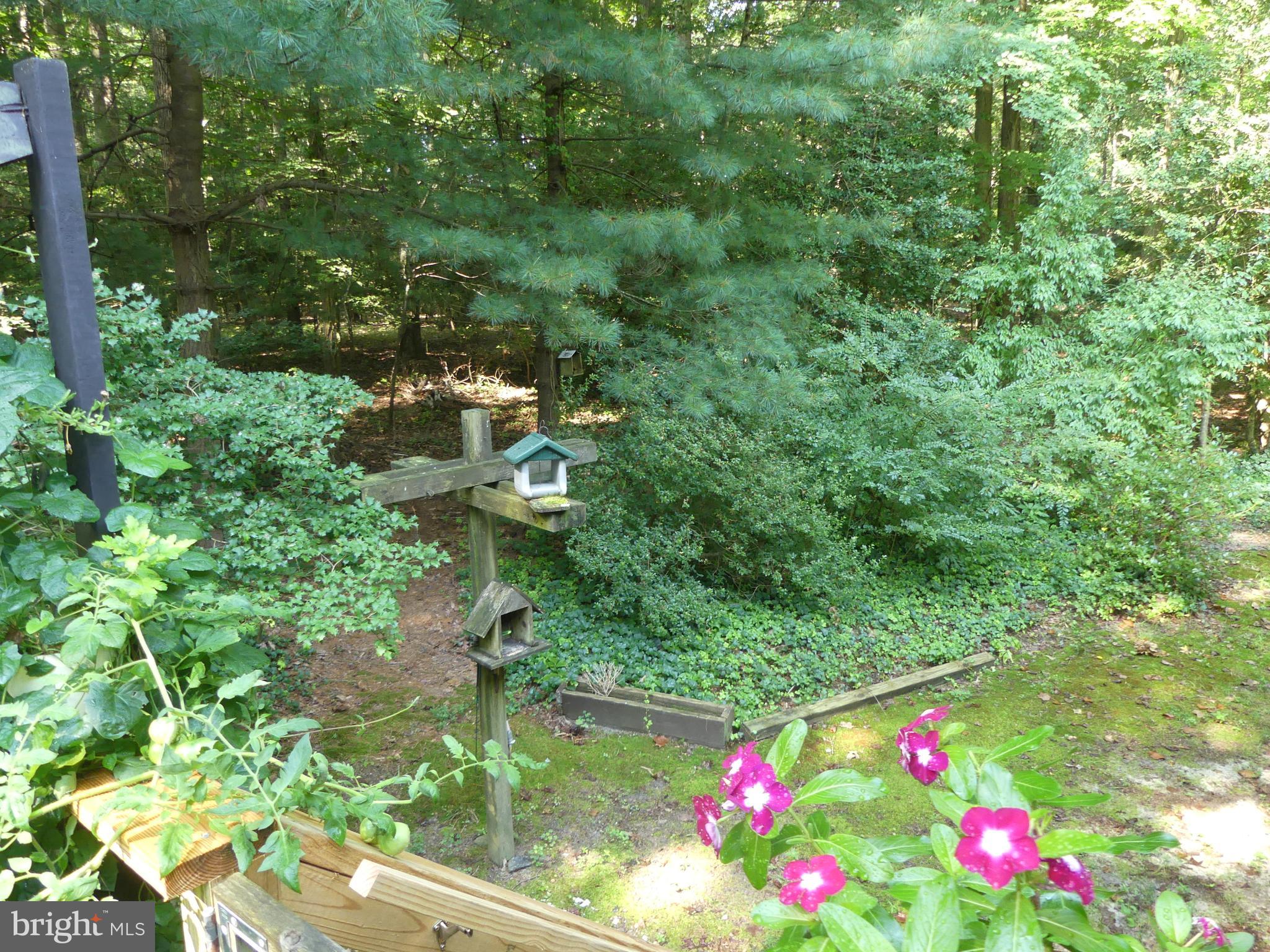 15290 Hudson Road Milton, DE 19968 - Photo 44 of 50 Gallery Image 44
