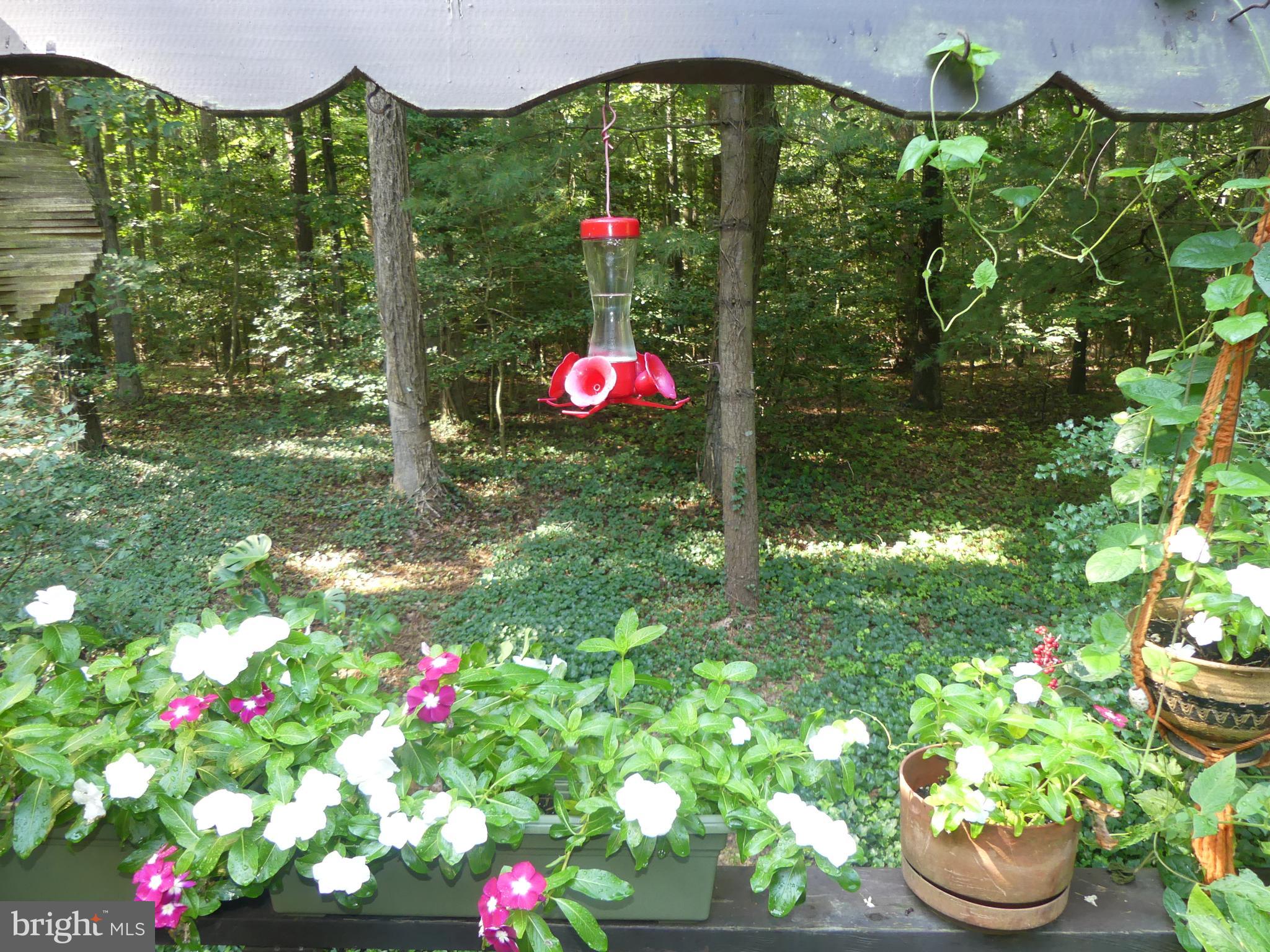 15290 Hudson Road Milton, DE 19968 - Photo 45 of 50 Gallery Image 45