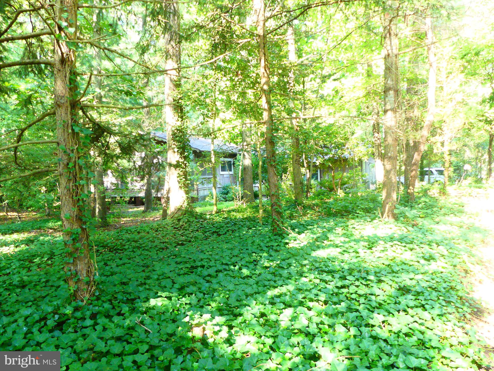 15290 Hudson Road Milton, DE 19968 - Photo 7 of 50 Gallery Image 7