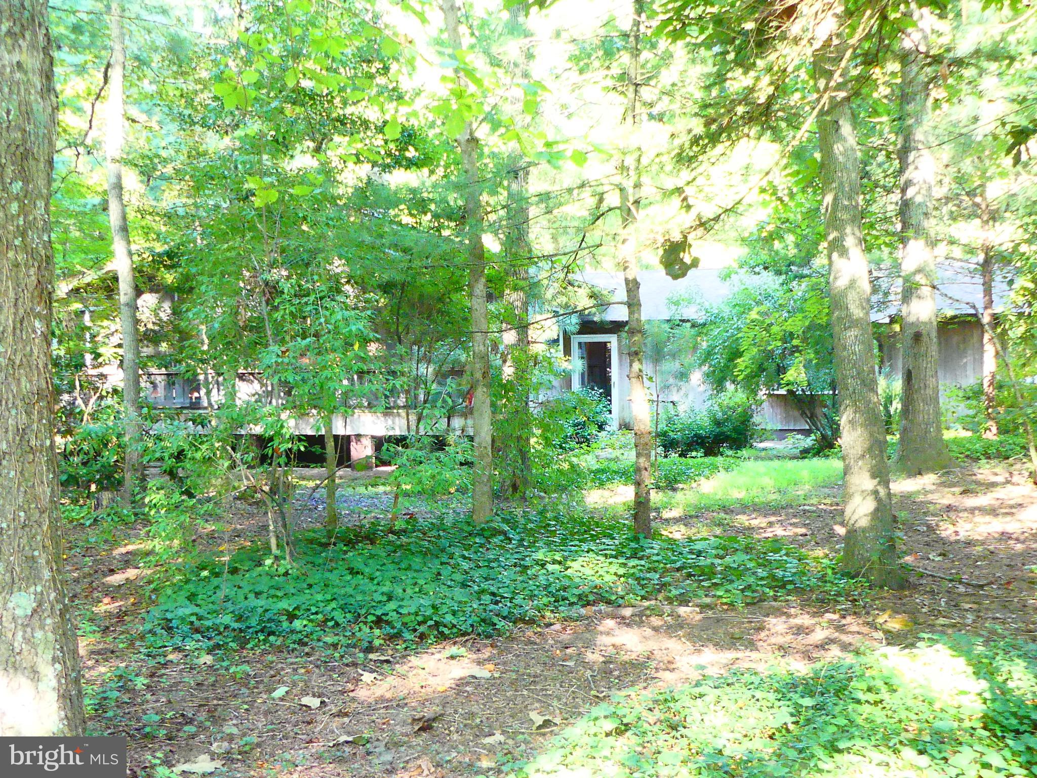 15290 Hudson Road Milton, DE 19968 - Photo 8 of 50 Gallery Image 8