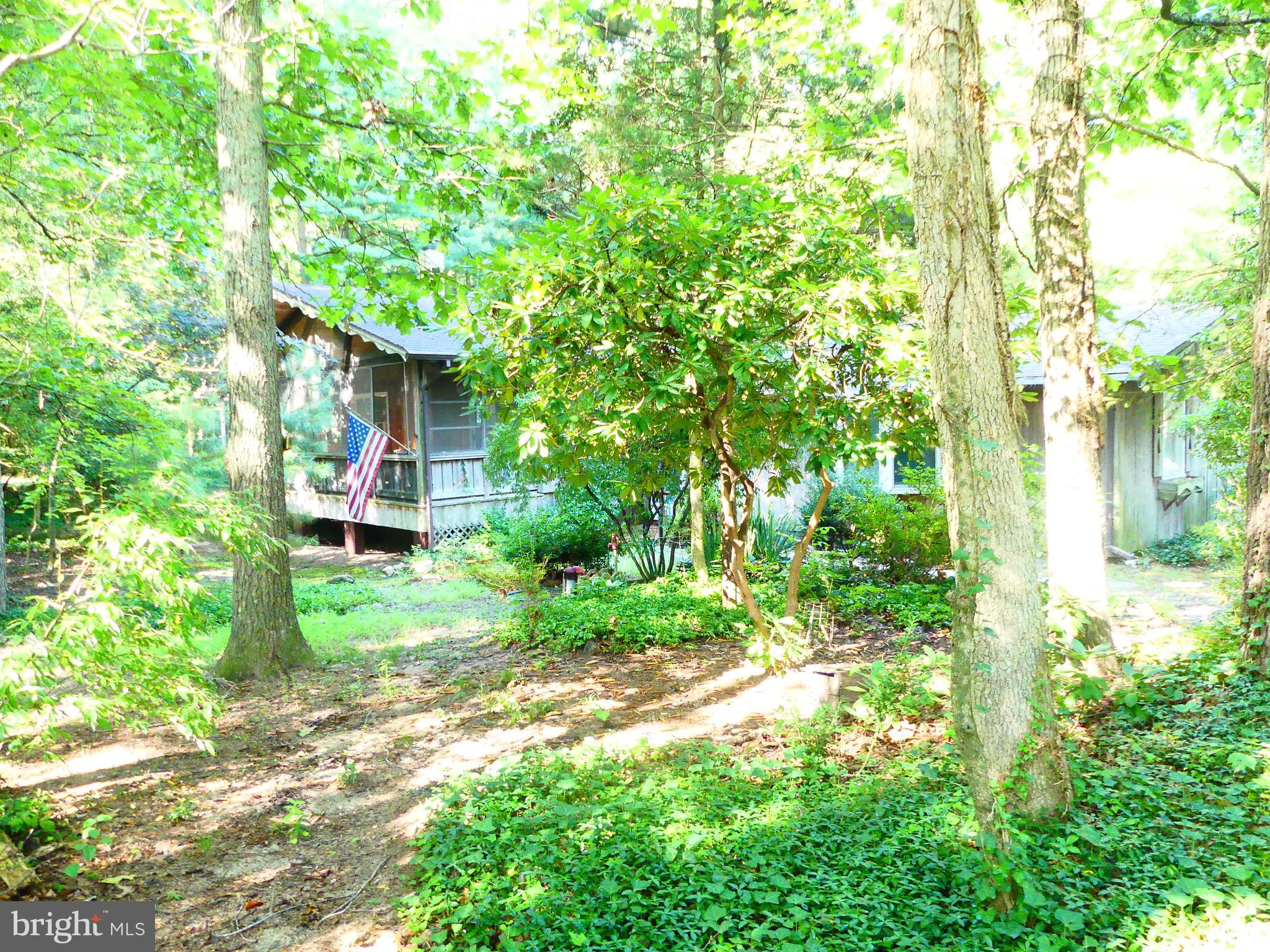 15290 Hudson Road Milton, DE 19968 - Photo 9 of 50 Gallery Image 9