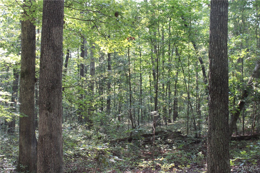 11304 Duncan Road Petersburg, VA 23805 - Photo 2 of 5 Gallery Image 2