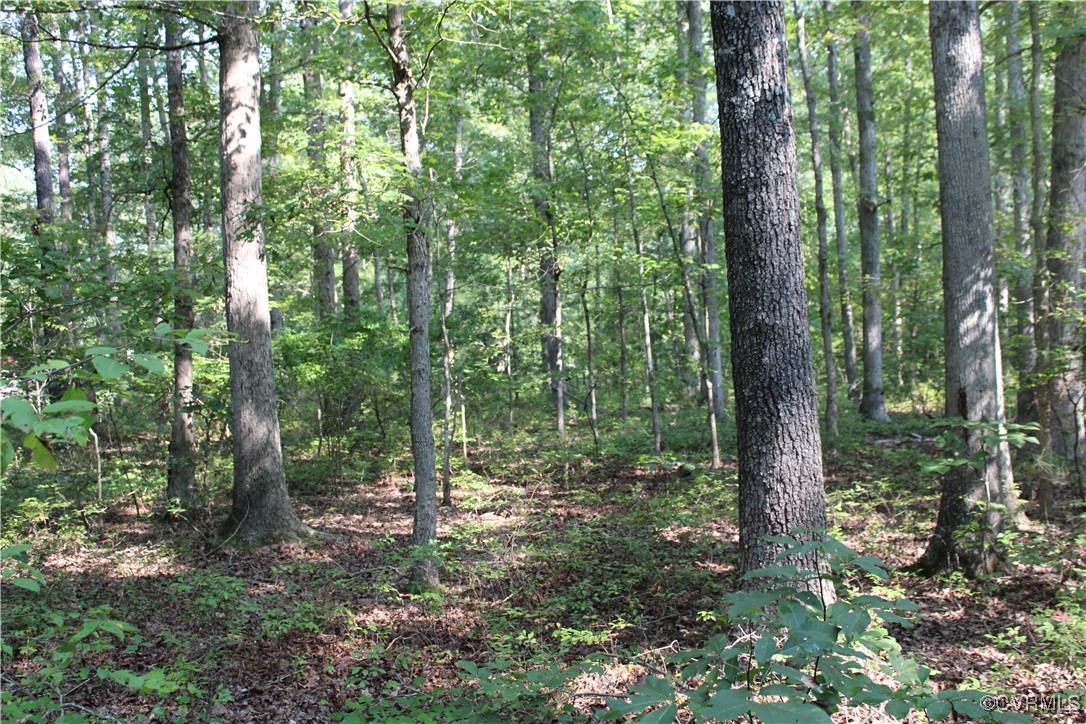 11304 Duncan Road Petersburg, VA 23805 - Photo 3 of 5 Gallery Image 3
