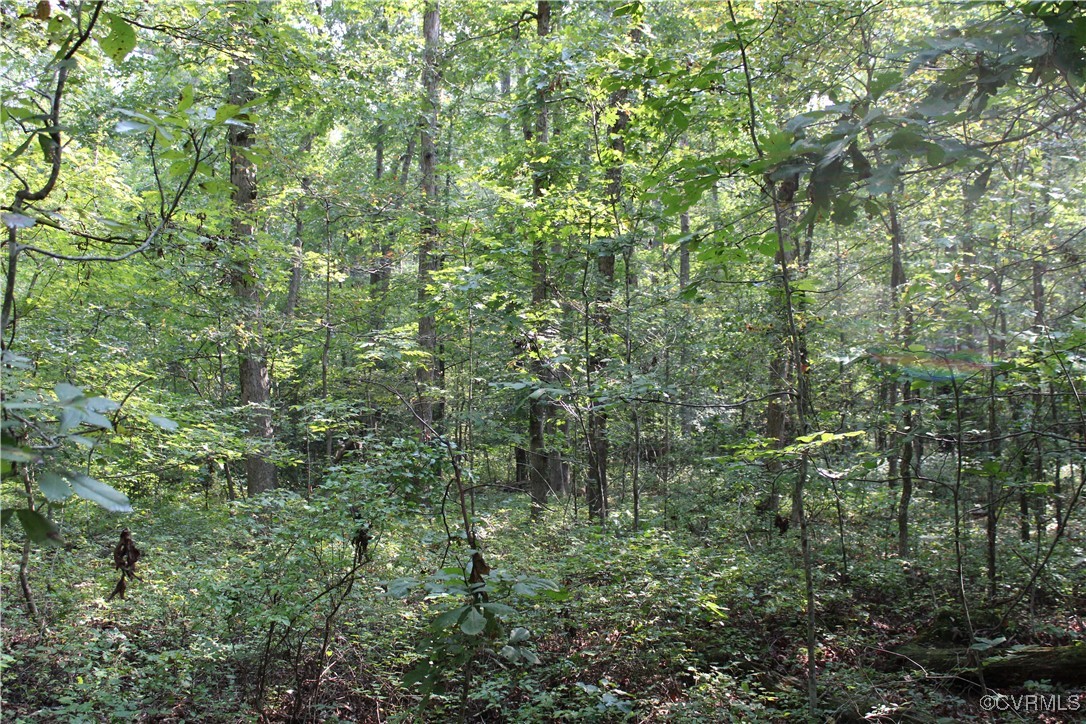 11304 Duncan Road Petersburg, VA 23805 - Photo 4 of 5 Gallery Image 4