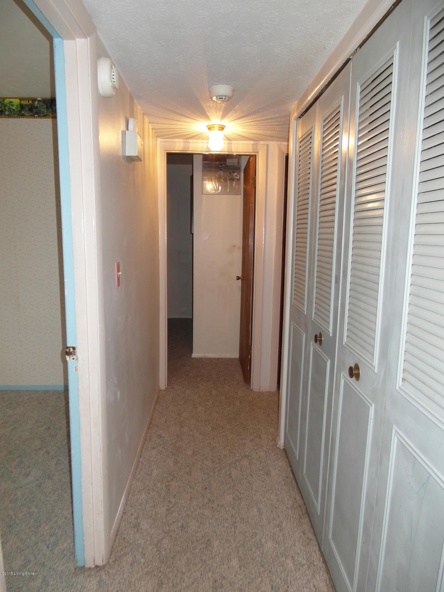 151 East Blue Jay Road Louisville, KY 40229 - Photo 10 of 29 SAM_2974